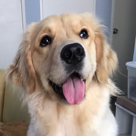 Meet your Posher, Sharleen - Picture 1 of 1